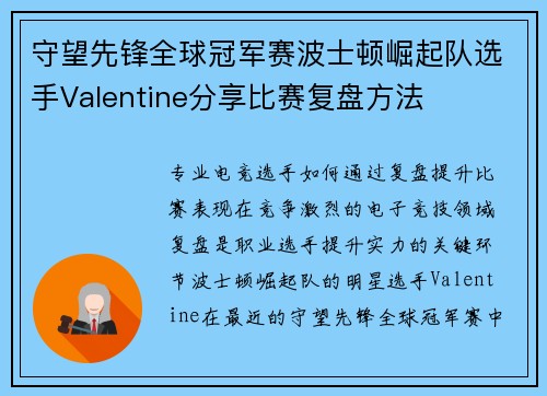守望先锋全球冠军赛波士顿崛起队选手Valentine分享比赛复盘方法