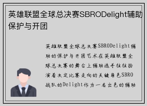 英雄联盟全球总决赛SBRODelight辅助保护与开团