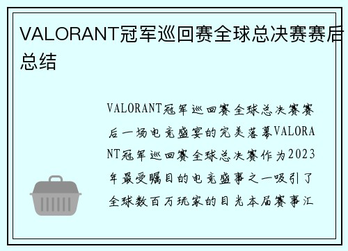 VALORANT冠军巡回赛全球总决赛赛后总结