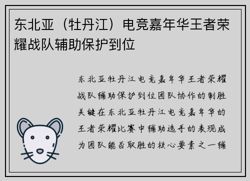 东北亚（牡丹江）电竞嘉年华王者荣耀战队辅助保护到位