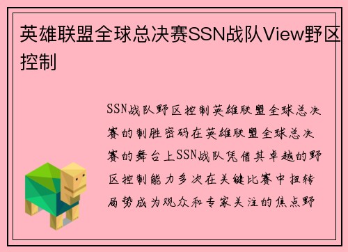 英雄联盟全球总决赛SSN战队View野区控制